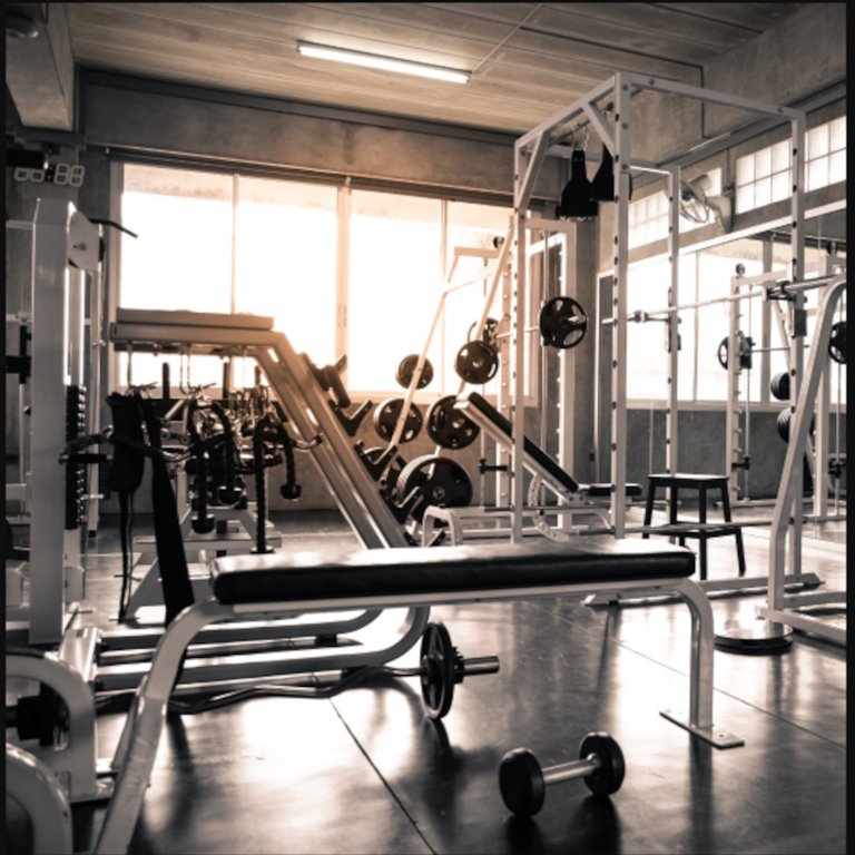 palmvista d4 Gymnasium