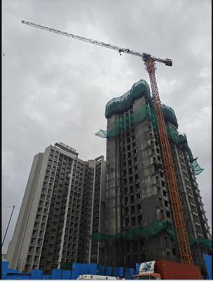 Construction Status June-25 palmvista-b1 Construction Status June-25