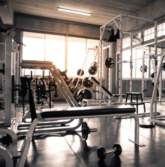  palmvista c1 Gymnasium