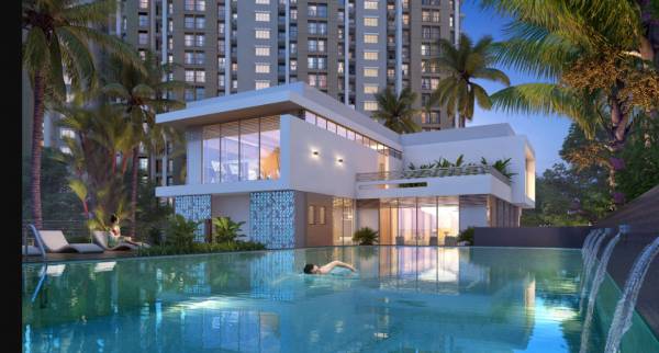  palmvista-d3 Swimming Pool