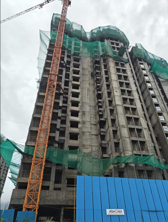  palmvista d1 Palmvista D1 Construction Status June 25