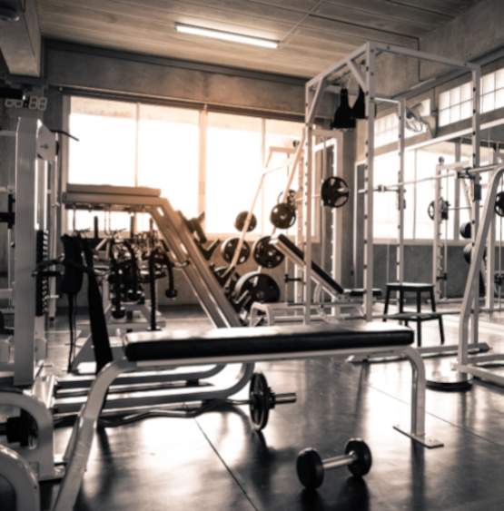  palmvista d1 Gymnasium