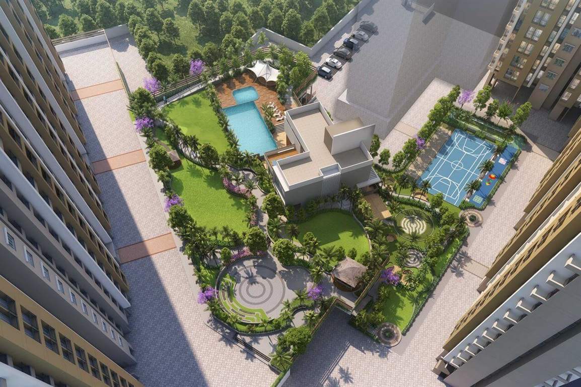  palmvista d1 Landscape Garden and Tree Planting