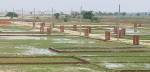  vihar-green-city-phase-2 Plot