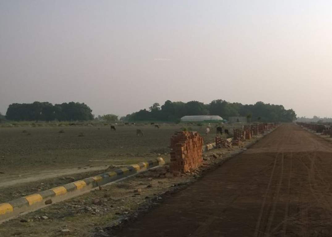  vikas vihar green city Plot