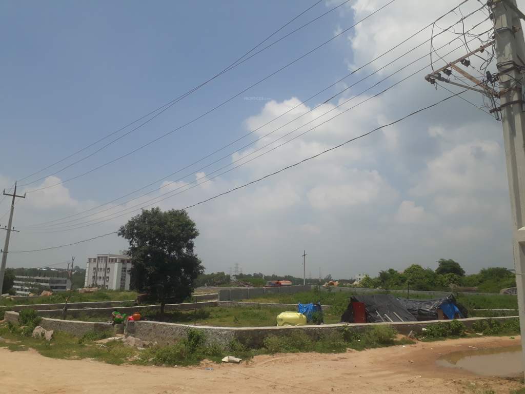  hills Elevation