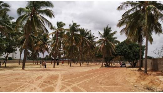 silver-oak-residency Elevation Elevation