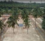  silver-oak-residency Plot