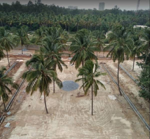  silver-oak-residency Plot