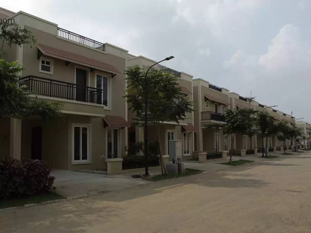  bloom phase ii Elevation