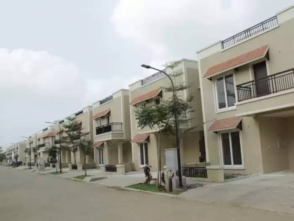  bloom phase ii Elevation