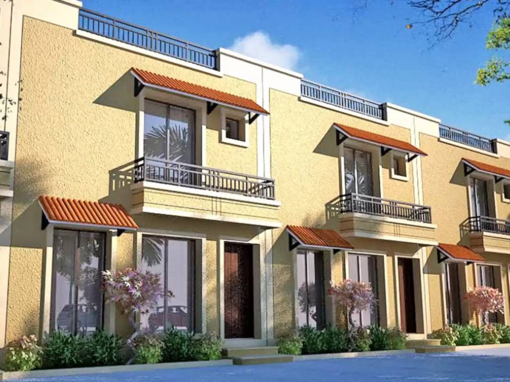  bloom phase ii Elevation