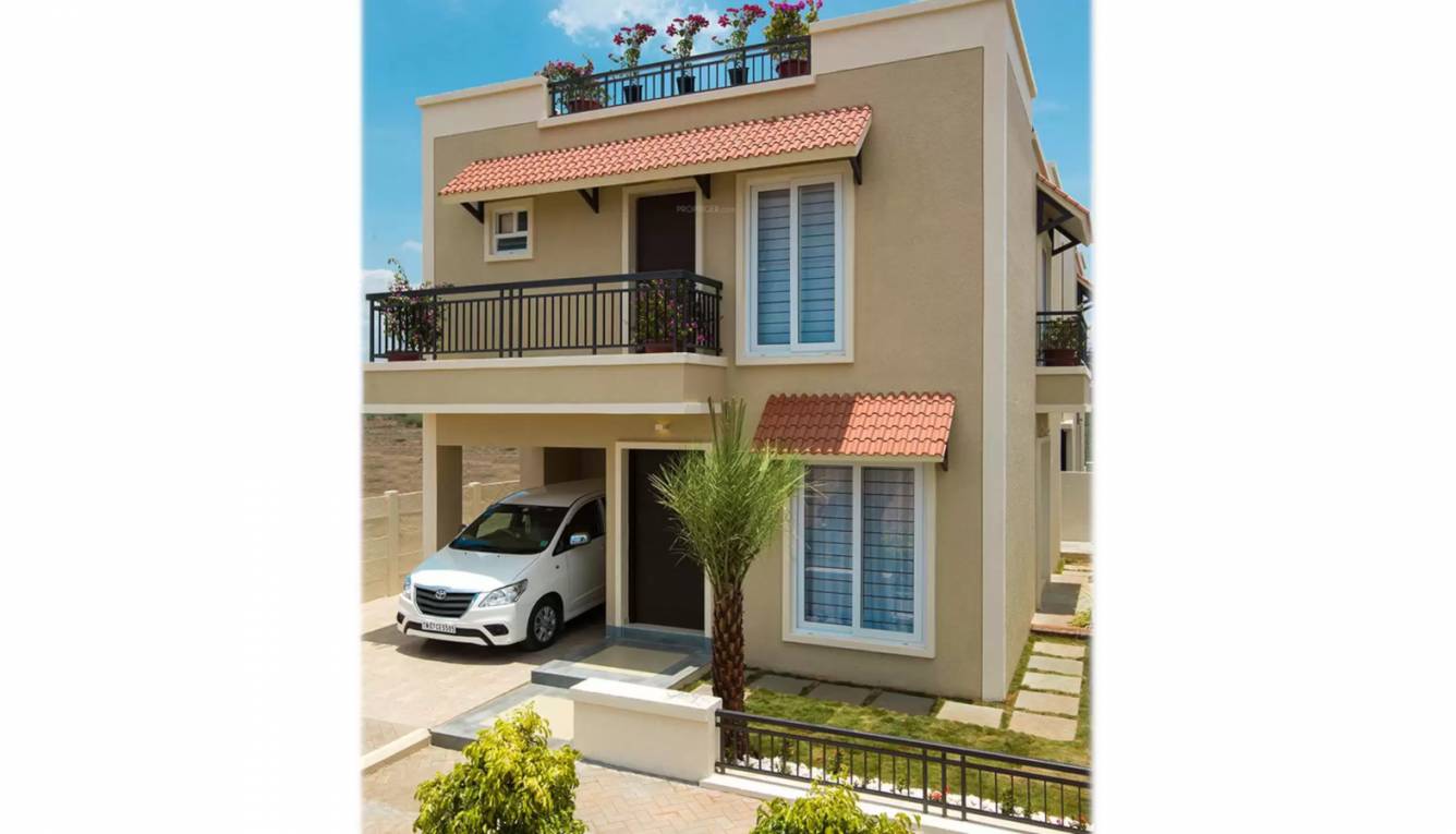 Elevation  bloom phase ii Elevation