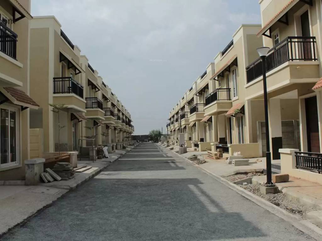  bloom phase ii Elevation