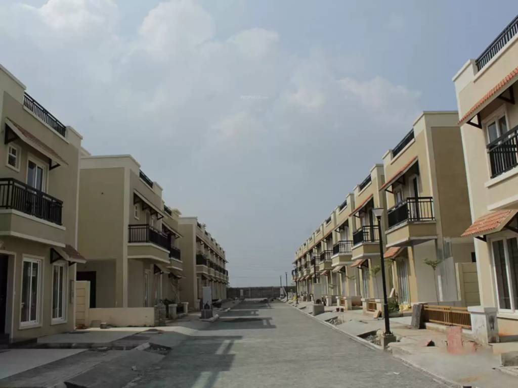  bloom phase ii Elevation