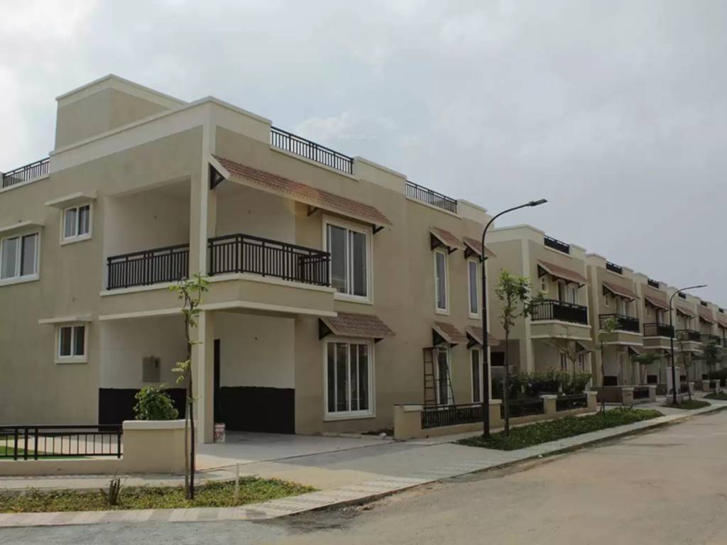  bloom phase ii Elevation