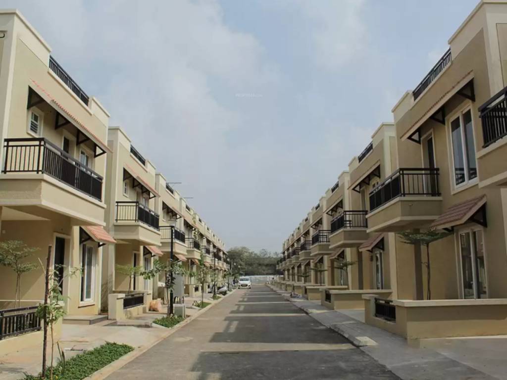  bloom phase ii Elevation