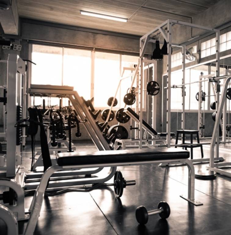 palmvista d2 Gymnasium