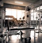 Gymnasium  palmvista-d2 Gymnasium