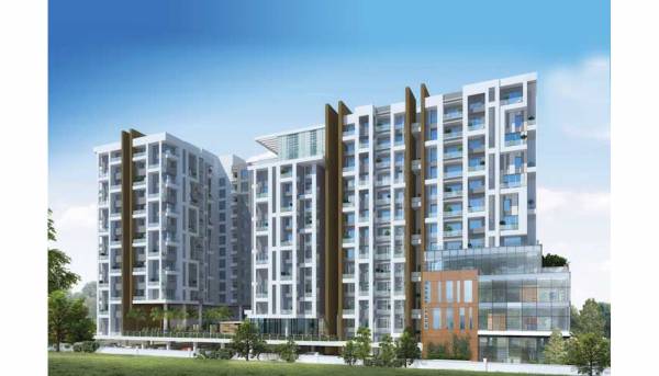 Elevation exotica Elevation