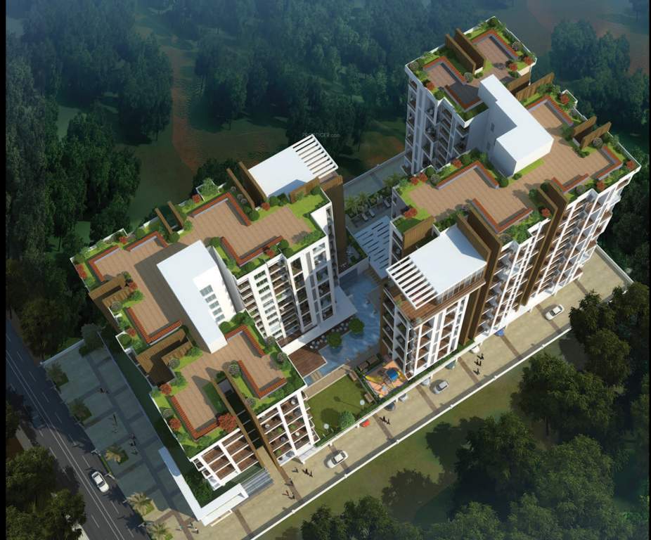  exotica Elevation