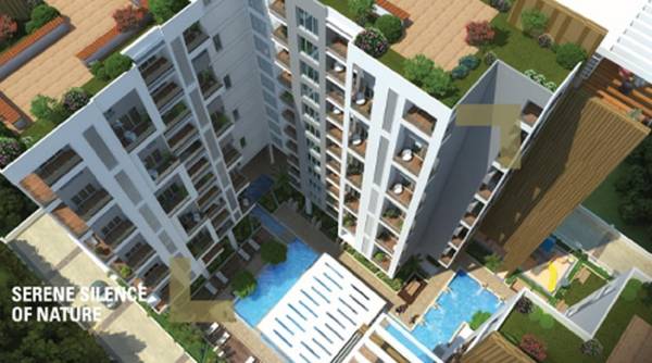 Others exotica Others