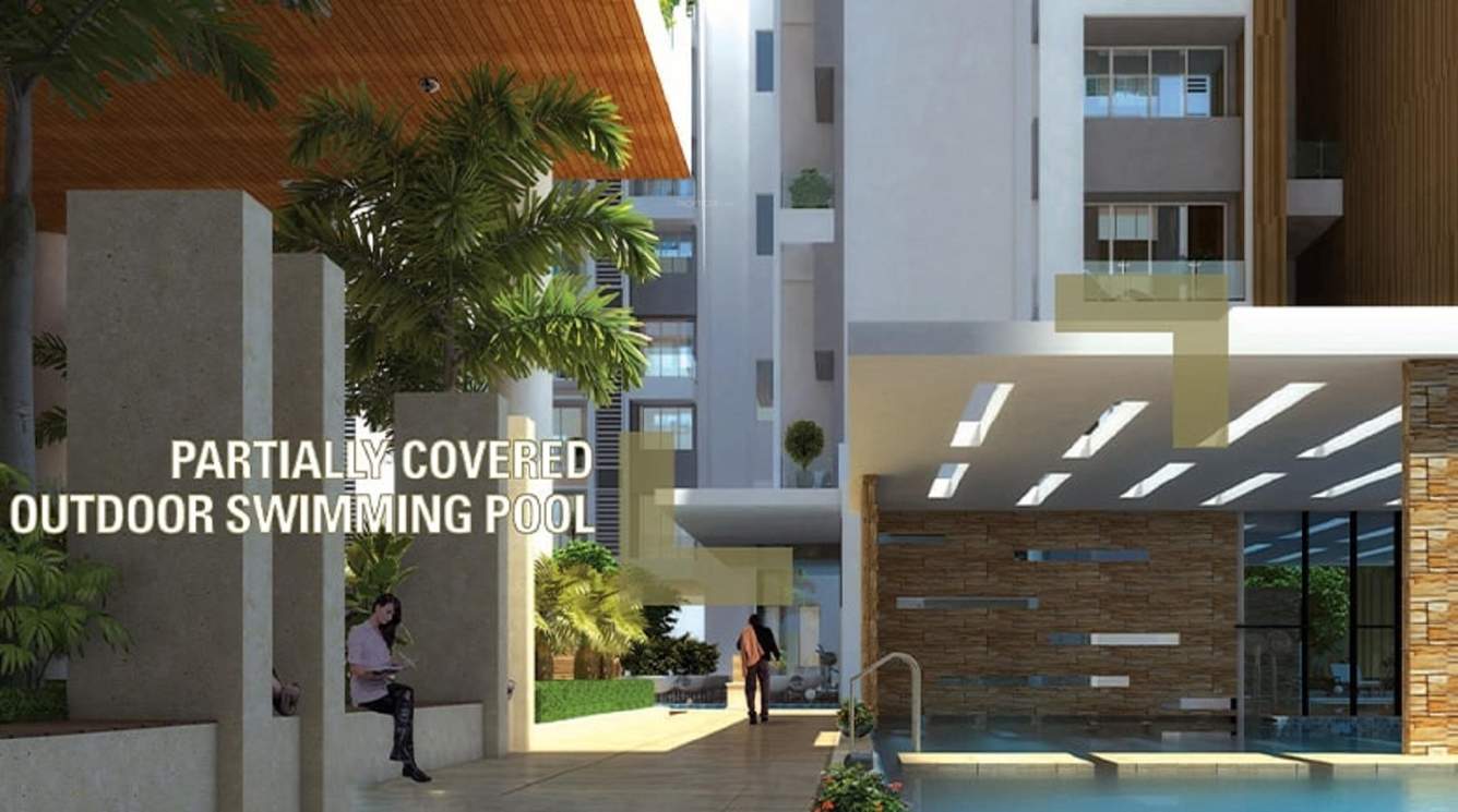  exotica Swimming Pool