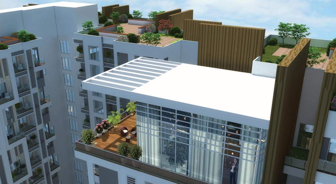  exotica Terrace Garden