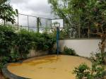  landmark Basketball Court