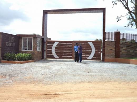 celesta Elevation Elevation