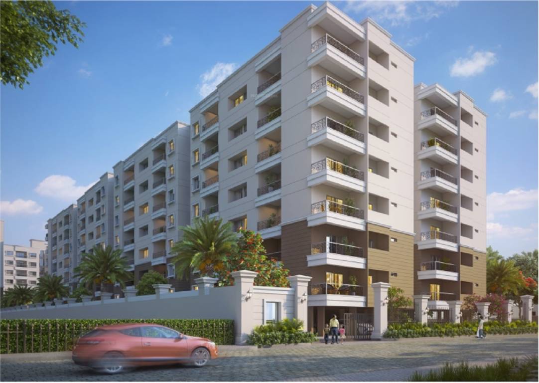  metropolis Elevation