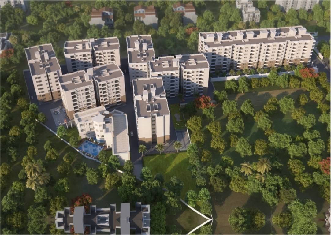  metropolis Elevation