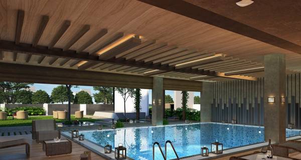  the-one-up Swimming Pool