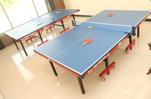  kaul-heritage-city Table Tennis