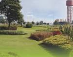  chandigarh-royale-city Landscaped Gardens