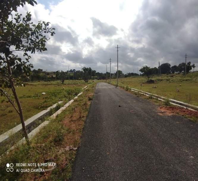 sunrise enclave Landscape Garden and Tree Planting