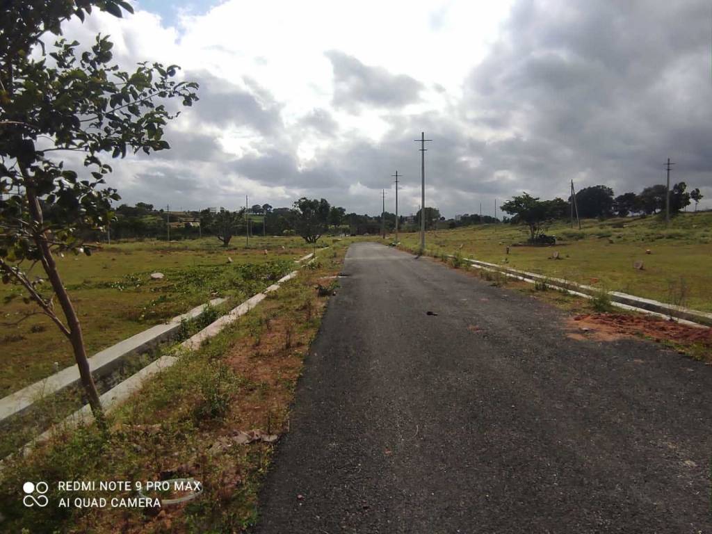 sunrise enclave Plot