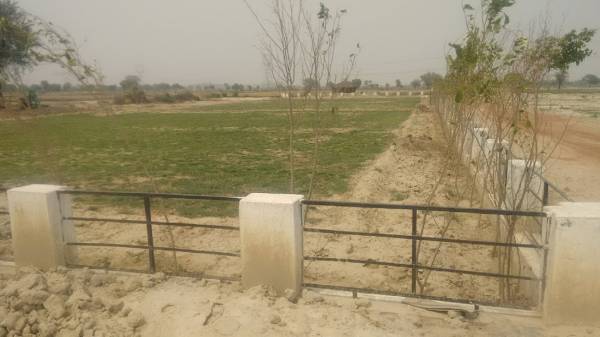  shri-radha-rani-township Plot