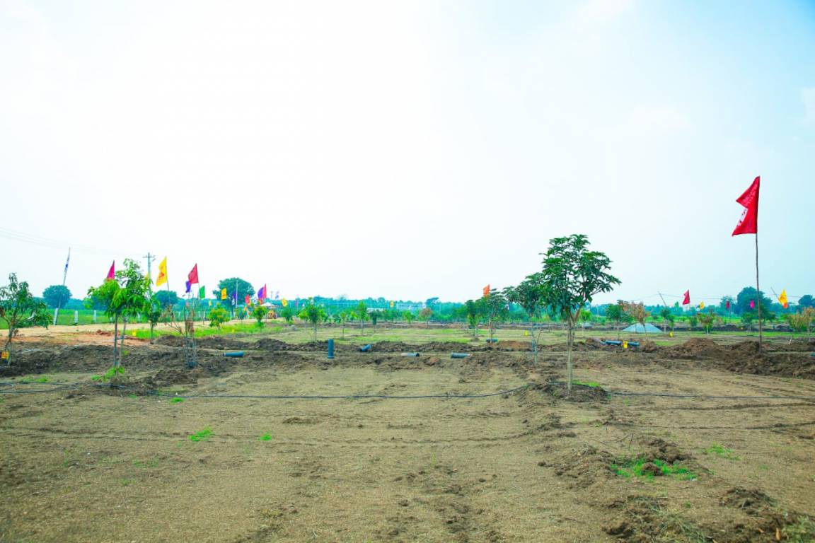  green city Elevation