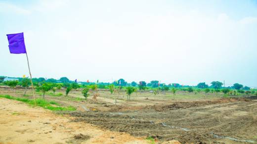 green-city Elevation Elevation