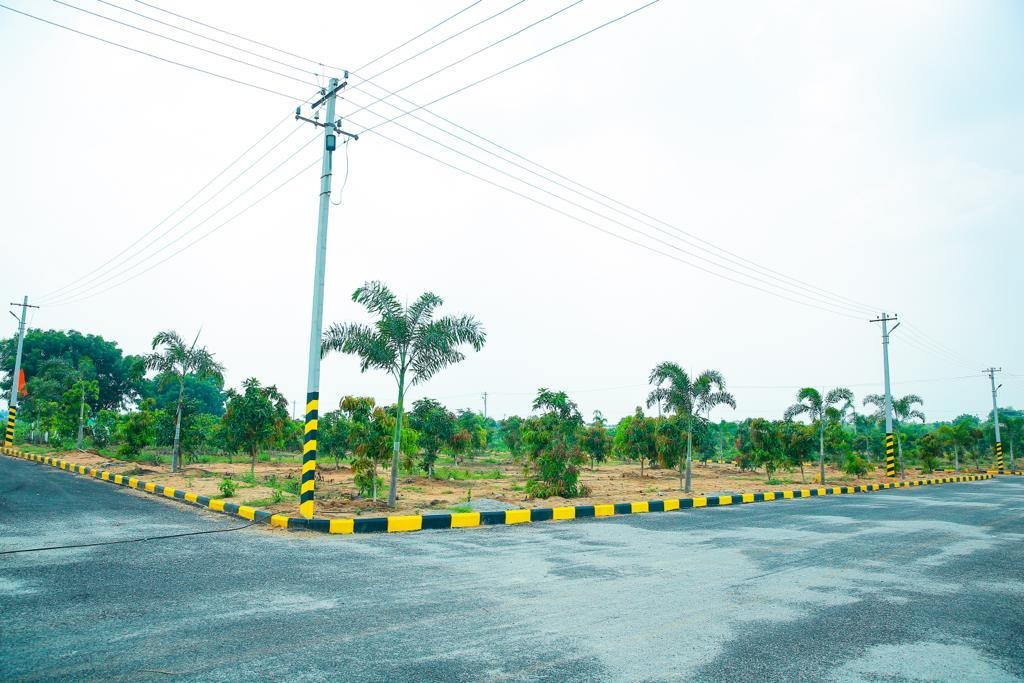  green city Internal Roads