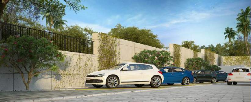  tree tops Open Parking