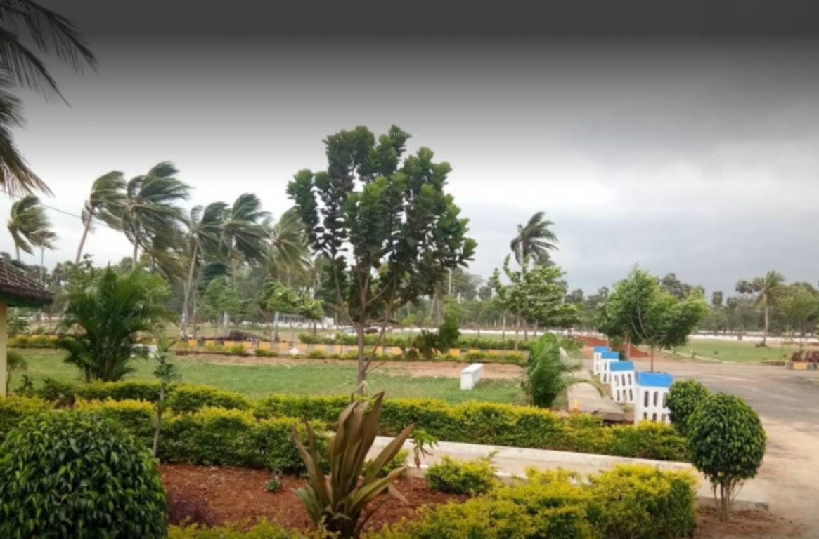 thalluri township Others