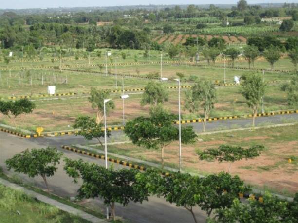  sabri city Plot