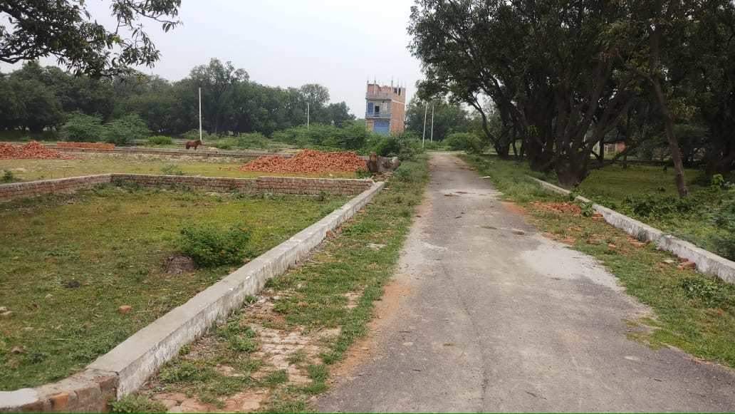  sabri city Plot