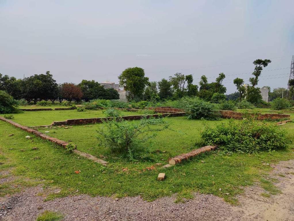  sabri city Plot