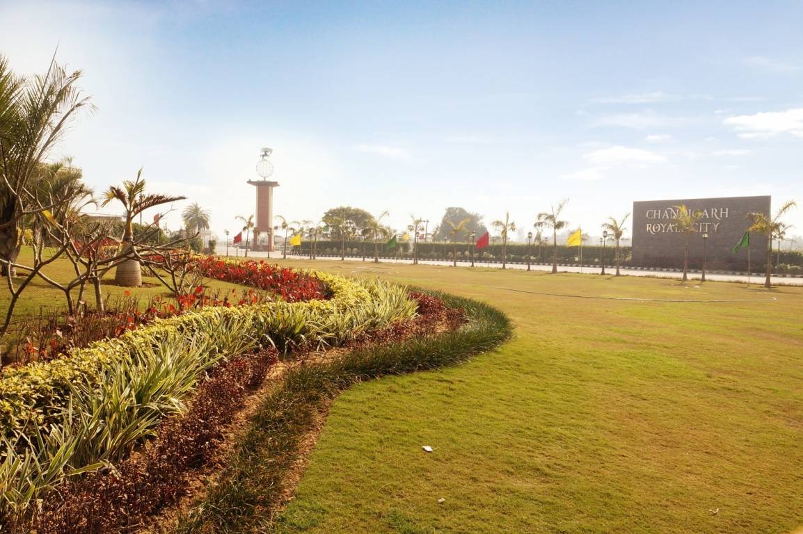  gardens Landscaping & Tree Planting