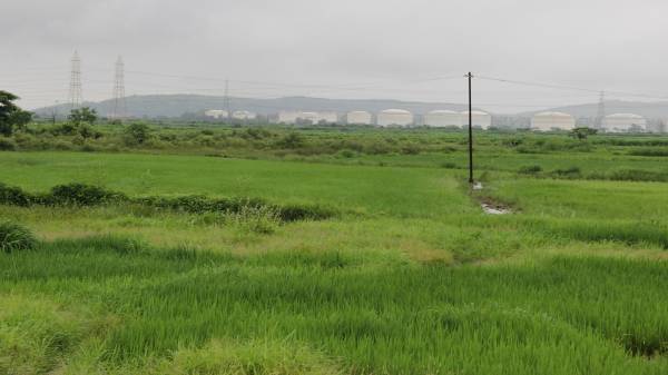  sky-garuda Elevation