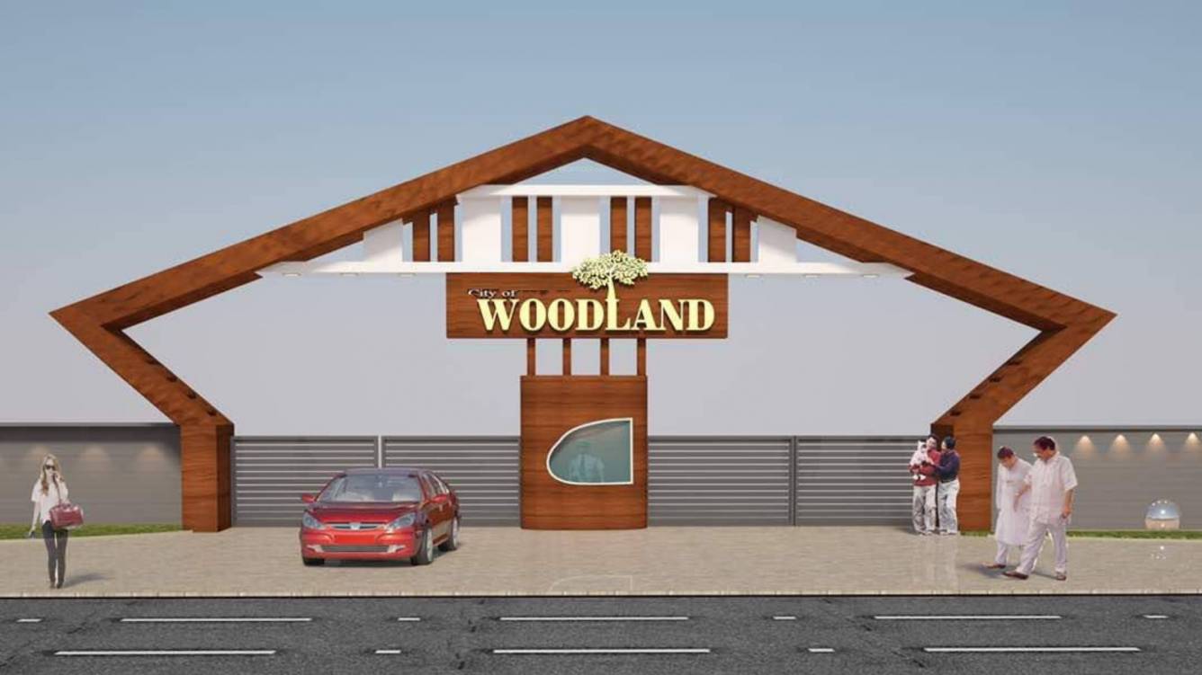 Elevation city of woodland Elevation