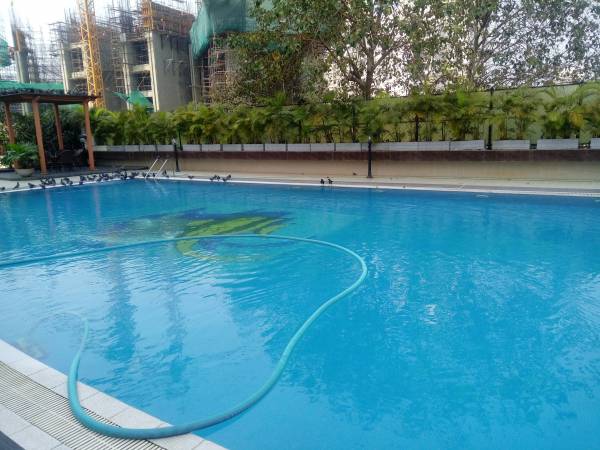  tanna-residency Swimming Pool